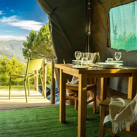 Safari Glamping Portugal Whale