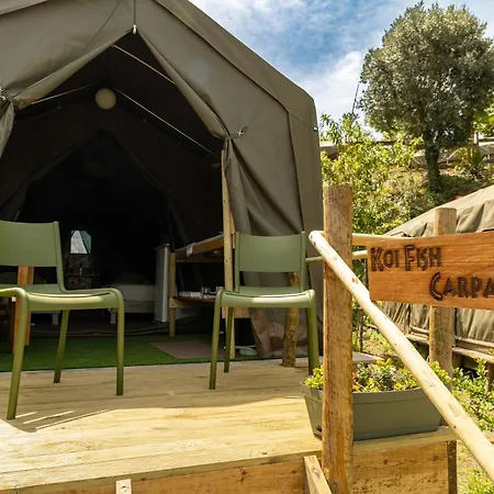 Safari Glamping Portugal Whale Ventosa (Braga)