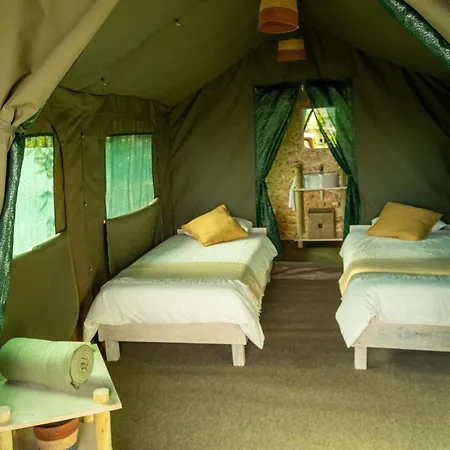 Safari Glamping Portugal Whale