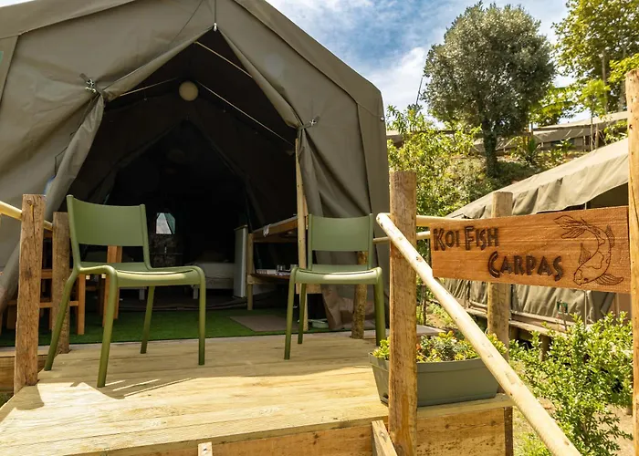Safari Glamping Portugal Whale Ventosa (Braga)