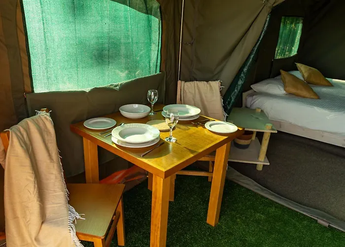 Luxury tent Safari Glamping Portugal Whale